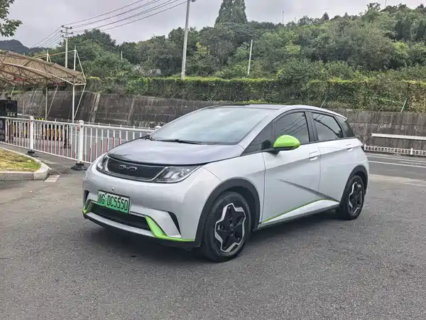 BYD Dolphin 2021