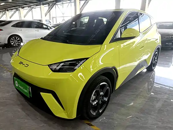 BYD Seagull 2024