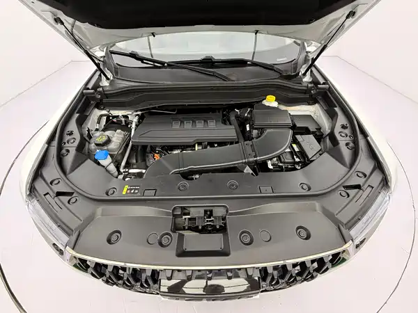 Haval H6 2021, фото 8