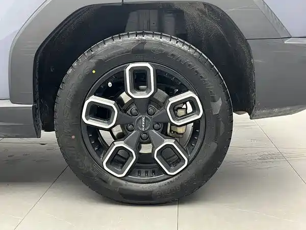 Haval Cool Dog 2022, фото 19