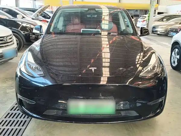Tesla Model Y 2021, фото 2