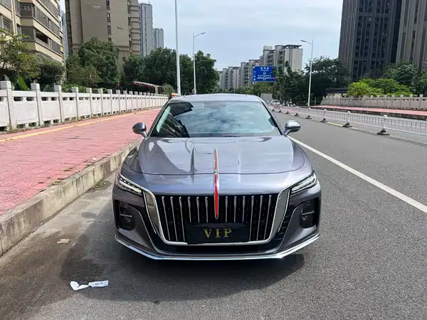 Hongqi H5 2023, фото 2