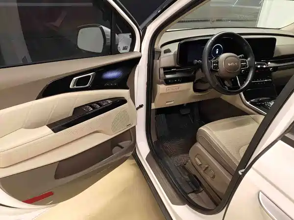 Kia Carnival 2021, фото 4
