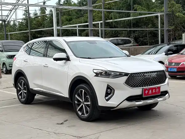 Haval F7 2021, фото 3