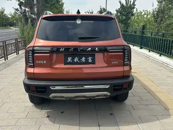 Haval Dargo 2021, фото 5