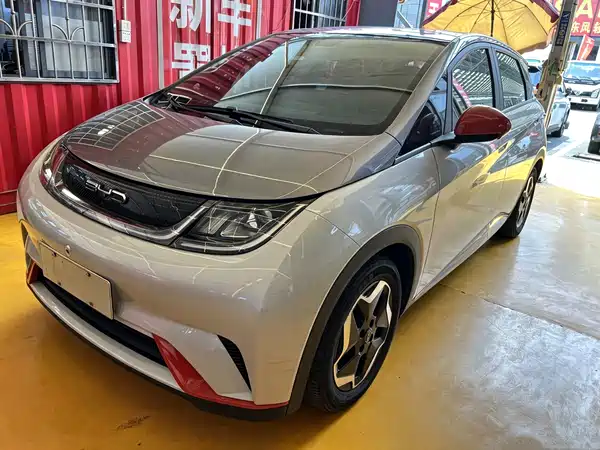 BYD Dolphin 2021