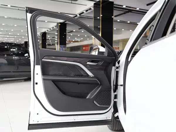 Haval H6 2023, фото 6
