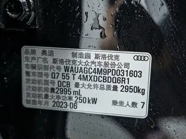Audi Q7 2023, фото 27