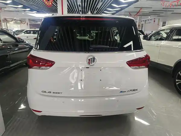 Buick GL6 2021, фото 5