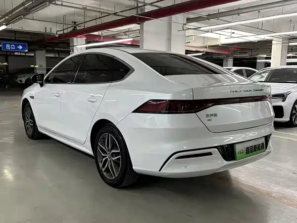 Qin PLUS