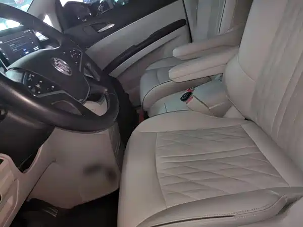 Buick GL8 2022, фото 14