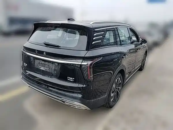 Hongqi HS7 PHEV 2024, фото 12