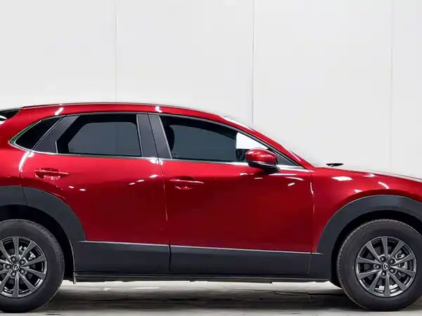 Mazda CX-30 2021, фото 7