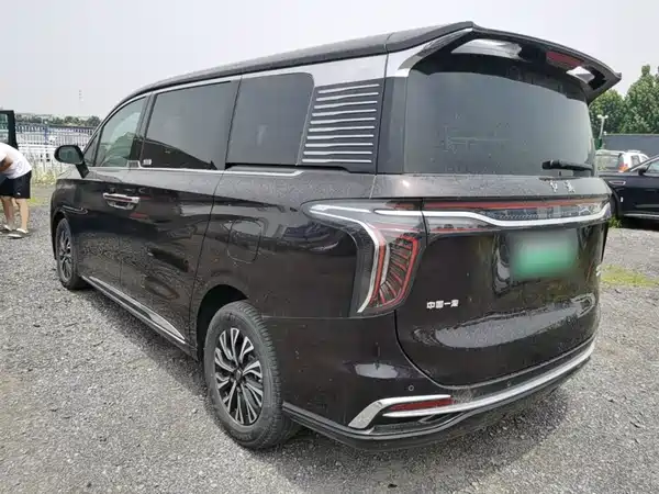 Hongqi HQ9 PHEV 2024, фото 5