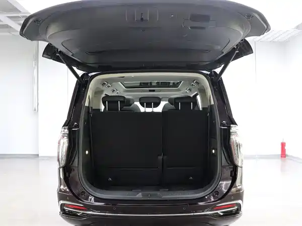 Hongqi HQ9 PHEV 2024, фото 27