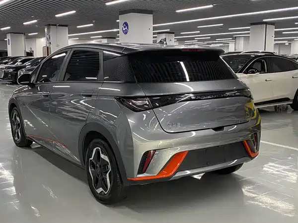 BYD Dolphin 2021, фото 15