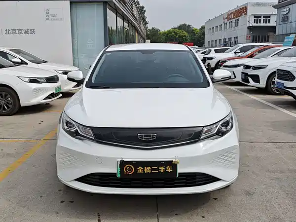 Geely Emgrand EV 2022, фото 6