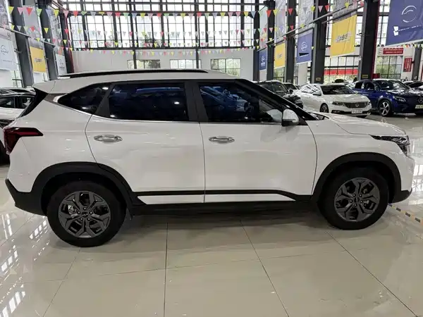Kia Seltos 2023, фото 7