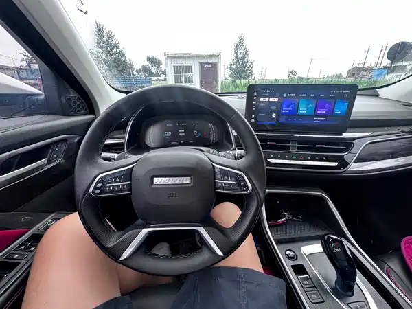 Haval H6 2021, фото 33