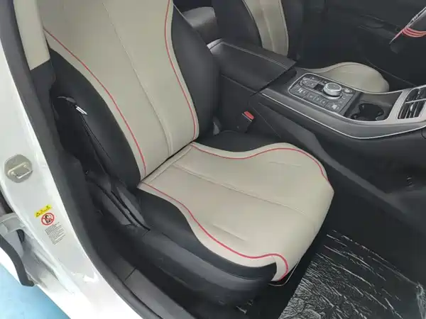 BYD Destroyer 05 2022, фото 24
