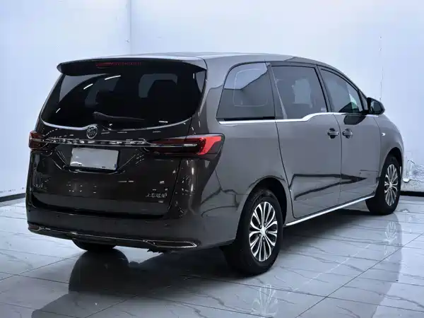Buick GL8 2023, фото 7