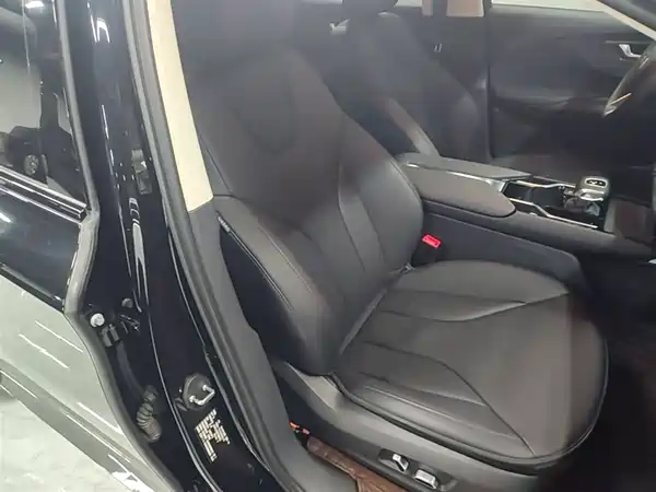 Hongqi E-QM5 2023, фото 24