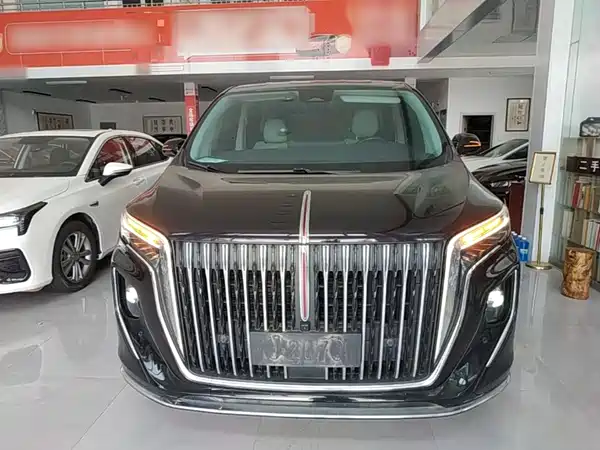 Hongqi HQ9 2023, фото 3