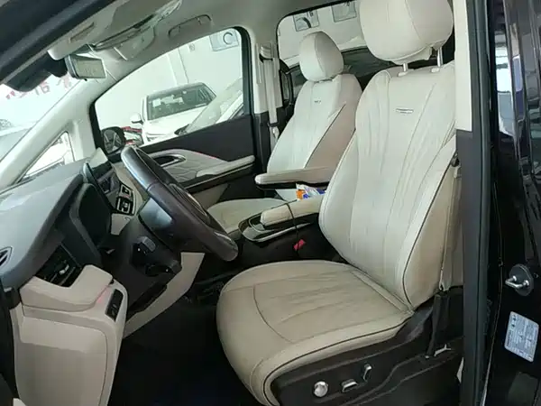 Hongqi HQ9 2023, фото 15