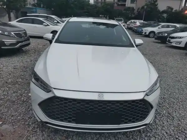  Qin PLUS