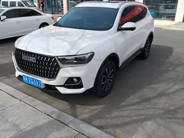 Haval H6 2023, фото 3
