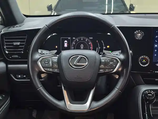 Lexus NX 2023, фото 23