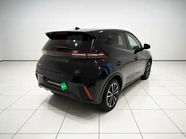 BYD Seagull 2023, фото 4