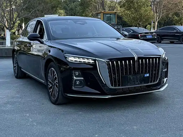 Hongqi H5 2023, фото 10