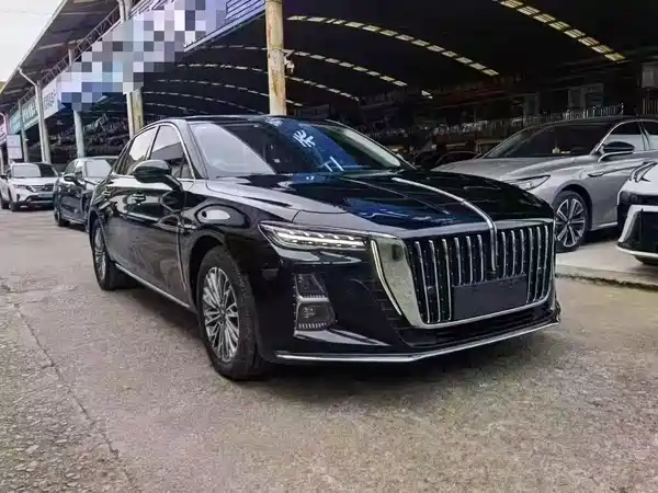 Hongqi H5 2023, фото 3