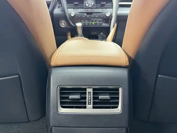 Lexus RX 2020, фото 17