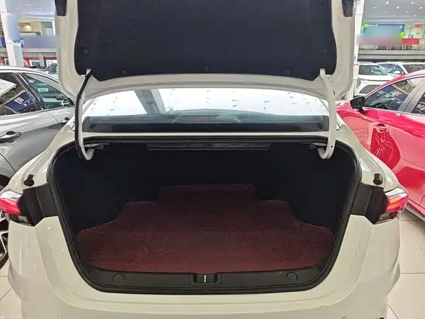 Geely Binrui 2024, фото 19