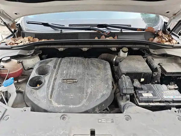 Geely Boyue 2022, фото 19