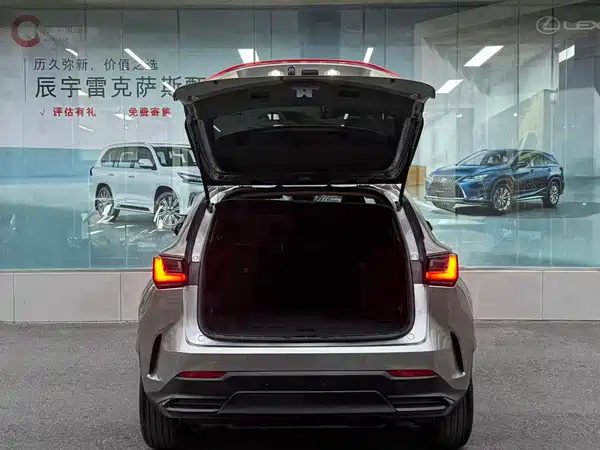 Lexus NX 2022, фото 7