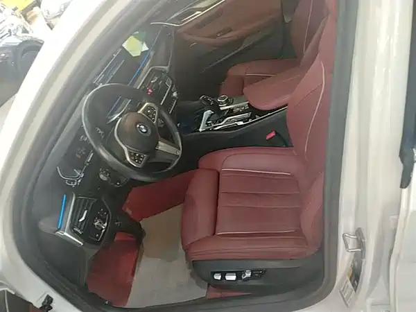 BMW 5 Series PHEV 2022, фото 15