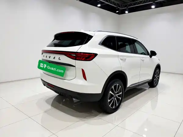 Haval H6 2022, фото 4
