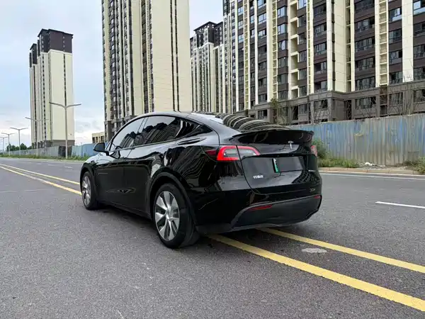 Tesla Model Y 2022, фото 9