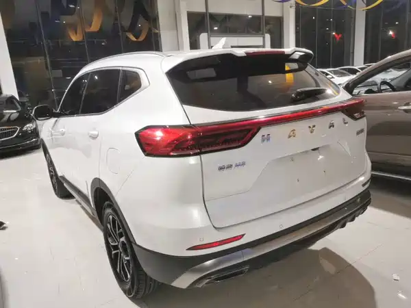 Haval H6 2021, фото 4