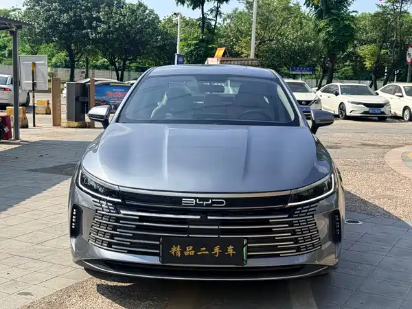 BYD Destroyer 05 2024, фото 2