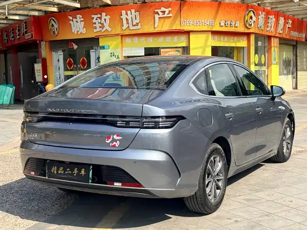 BYD Destroyer 05 2024, фото 7
