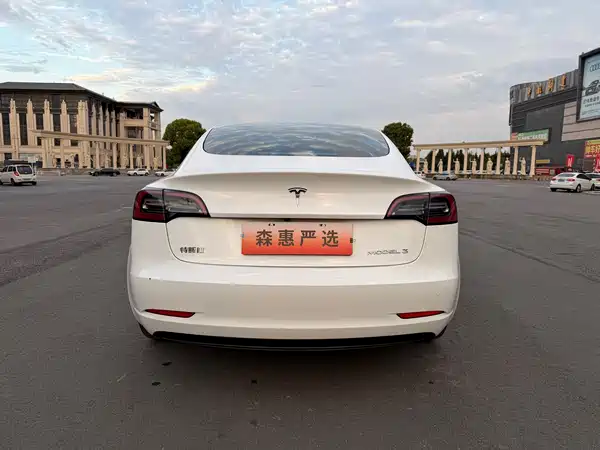 Tesla Model 3 2021, фото 17