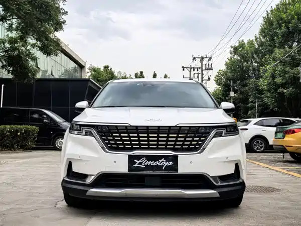 Kia Carnival 2021, фото 2