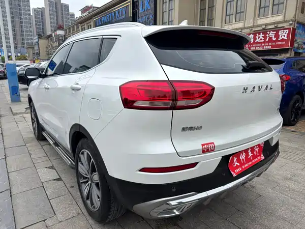 Haval H6 2021, фото 6