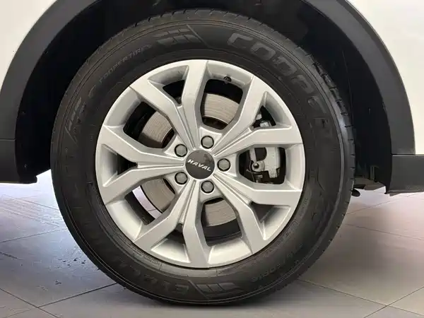 Haval H6 2021, фото 10