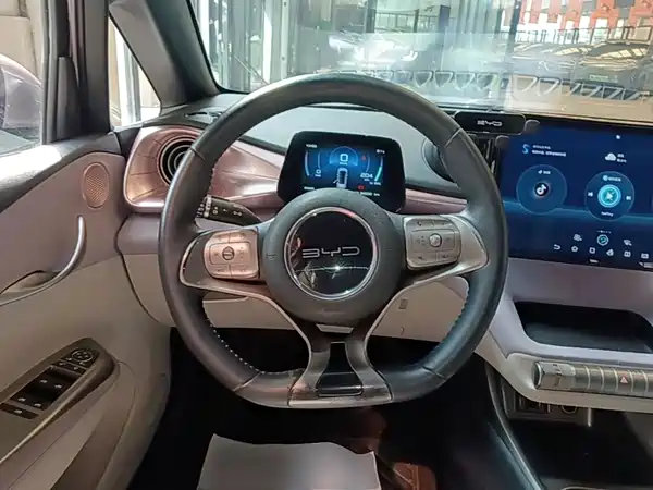 BYD Dolphin 2021, фото 10