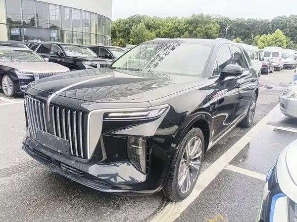Hongqi E-HS9 2021